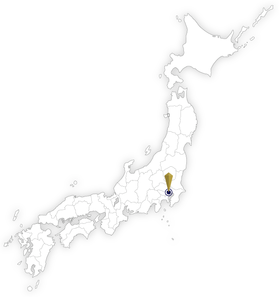 日本地図　江戸城