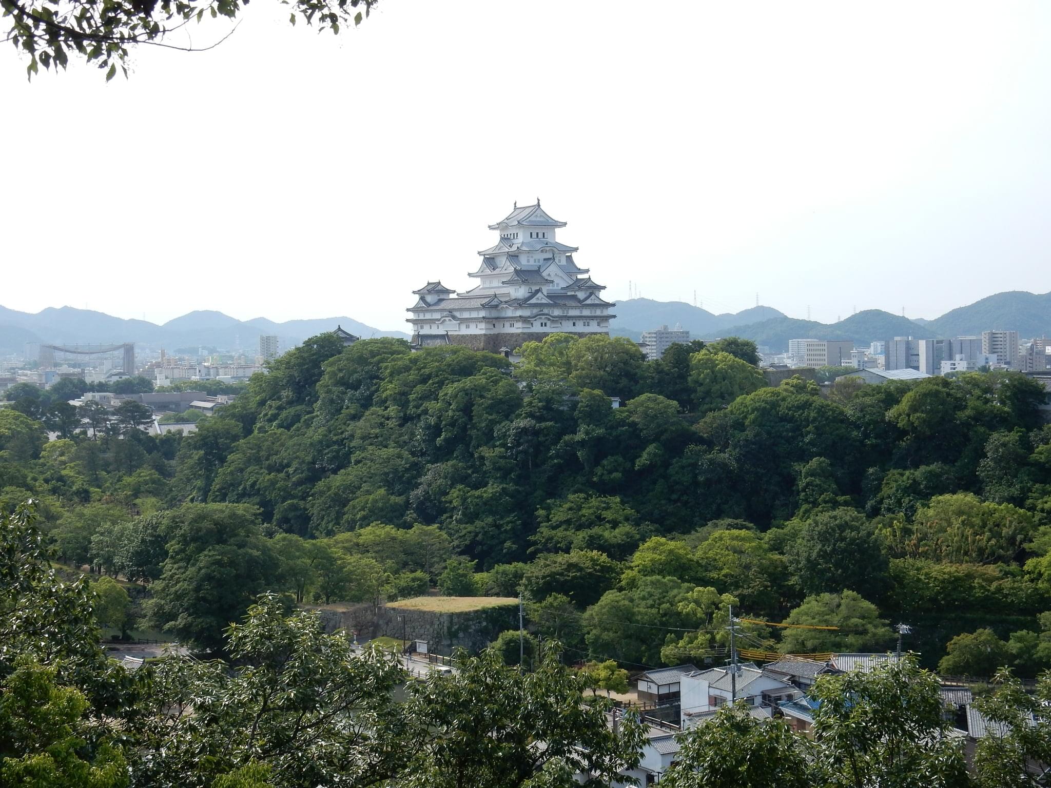 豊臣秀吉 緑園生著 7冊 D7豊臣秀吉｜伝記文庫D｜伝記｜本を探す｜ポプラ社
