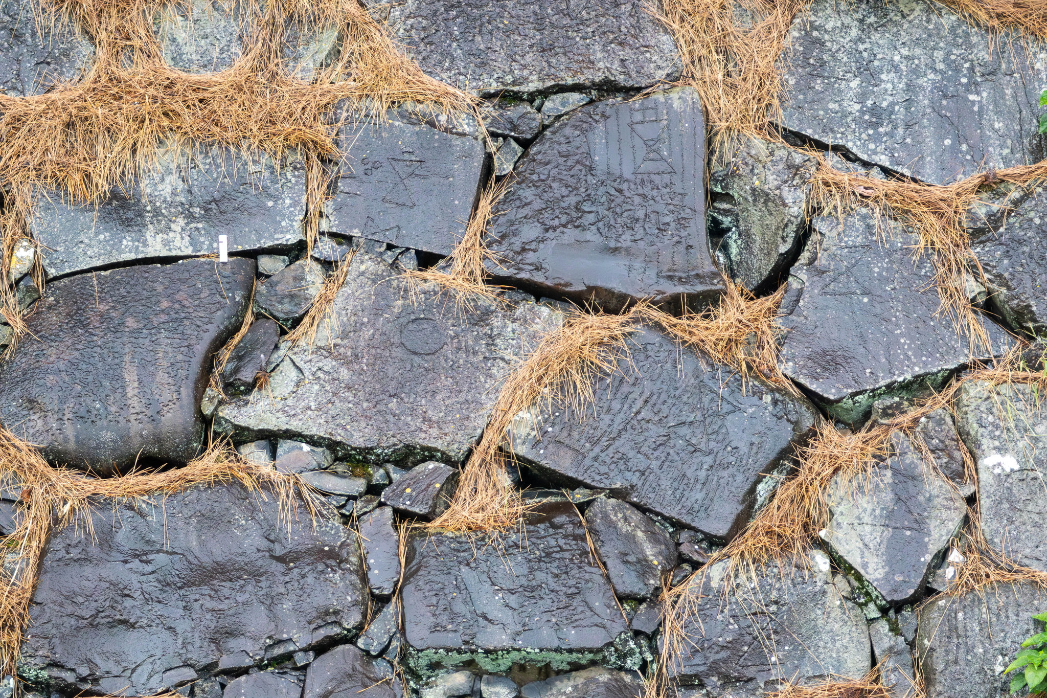 名古屋城石垣の刻印を見に行こう！ Vol.15 本丸西壁 其の二 – 武将愛