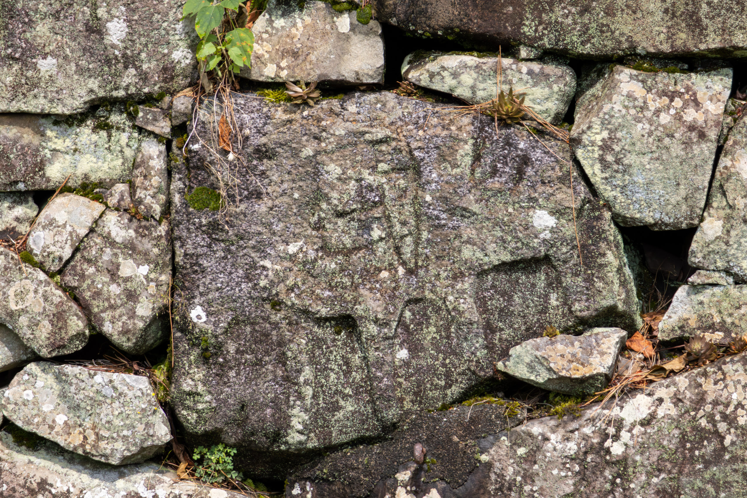 名古屋城石垣の刻印を見に行こう！ Vol.16 本丸西壁 其の三 – 武将愛